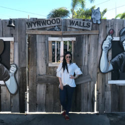 Wynwood Walls by Sonia Valdés